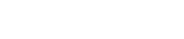 Vector 2 - NS – Soluções – Professional Services